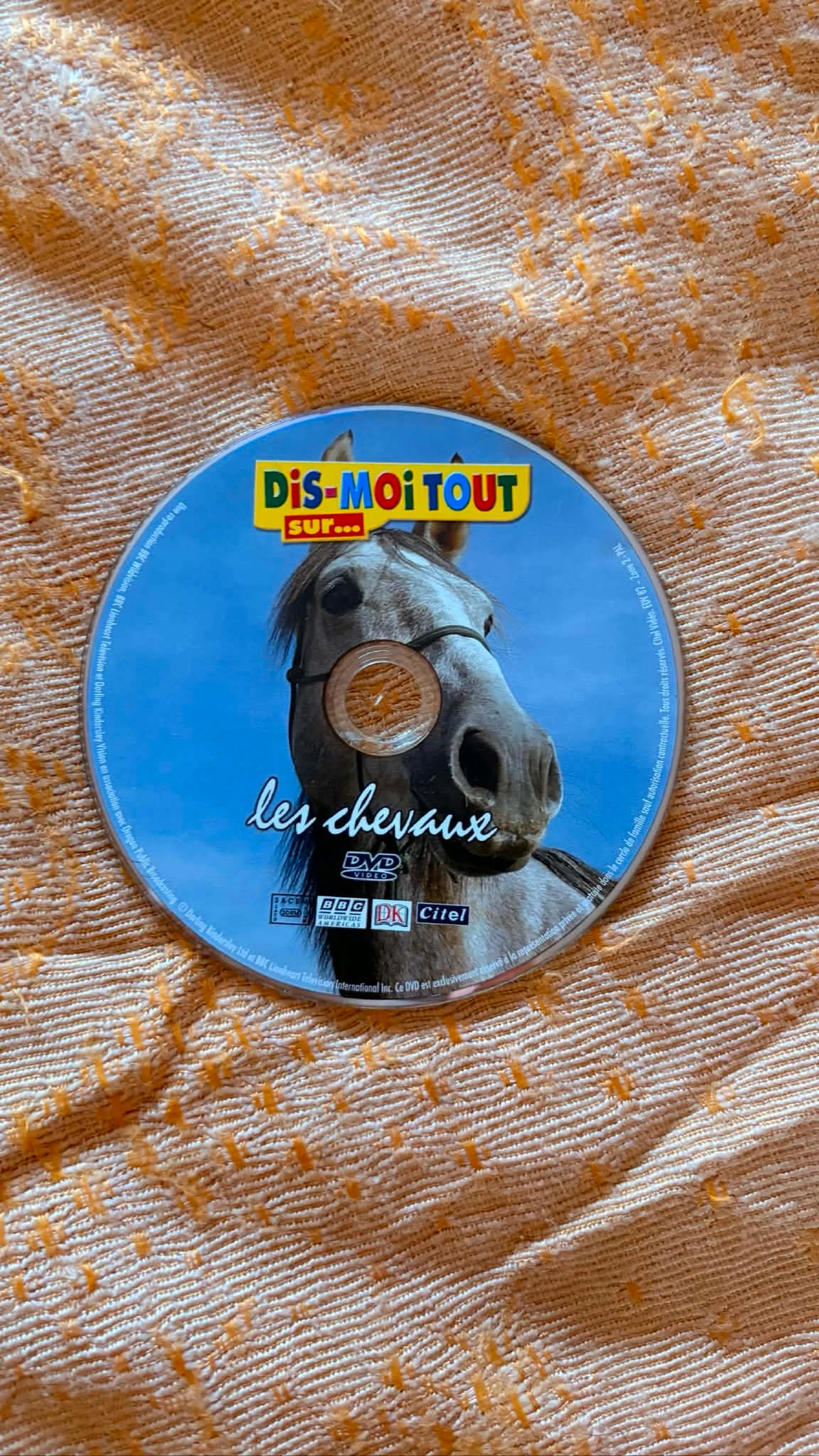 Dis-moi en tout sur les chevaux